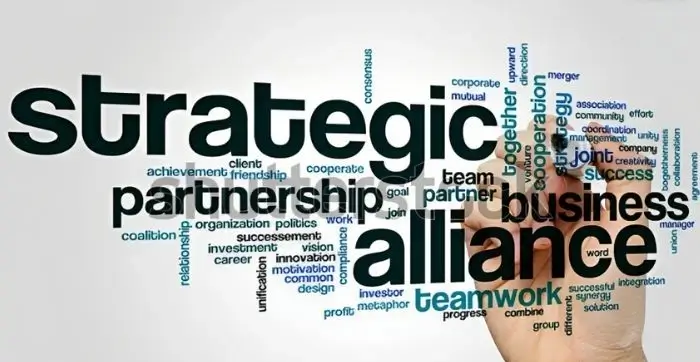 The Power of Strategic Partnerships - Cover Image